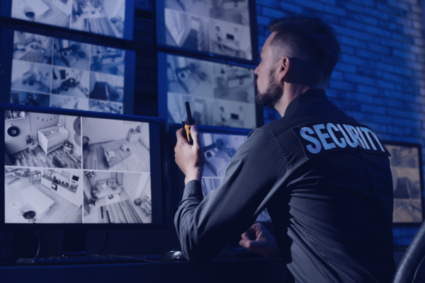 Corso operatore delle attività di vigilanza e sicurezza
